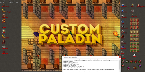 Custom Paladin